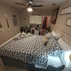 Apartment Luxurious Cozy Studio., Tampa