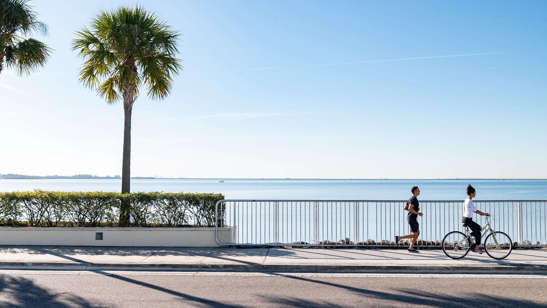 Grand Hyatt Tampa Bay Hotel 4*,  United States