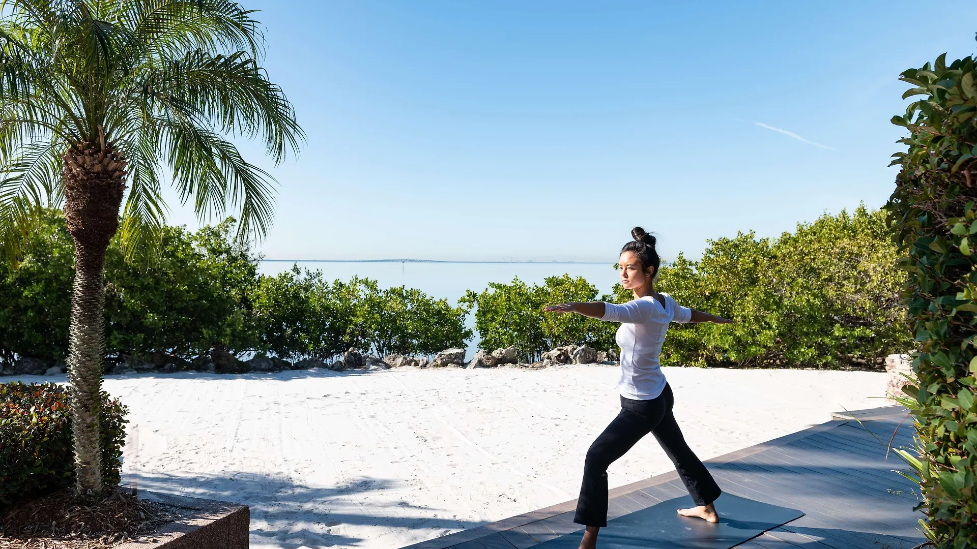 Grand Hyatt Tampa Bay Hotel 4*,  Verenigde Staten