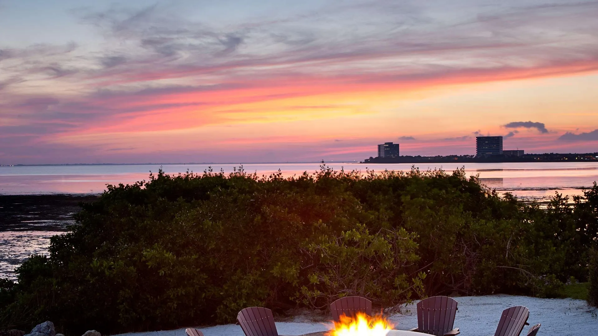 Grand Hyatt Tampa Bay Hotel
